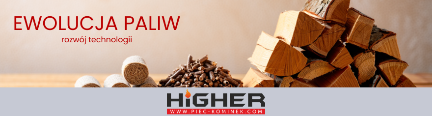 ewolucja paliw do kominka